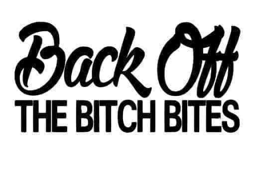 Back Of B*tches Rude Car Bumper Sticker