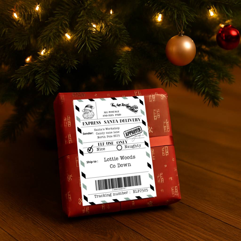 Personalised Santa Shipping Labels x 10