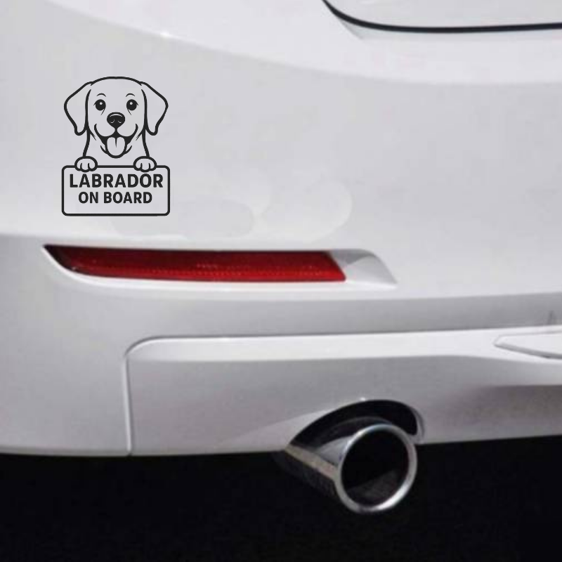 Labrador Dog On Board Car Bumper Sticker