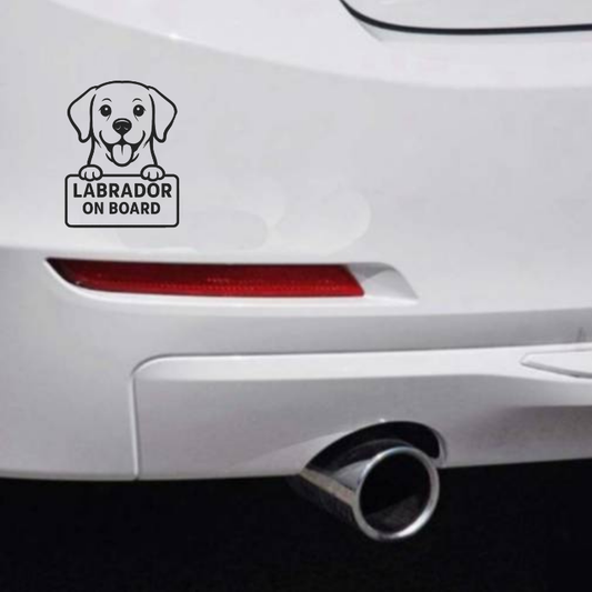 Labrador Dog On Board Car Bumper Sticker